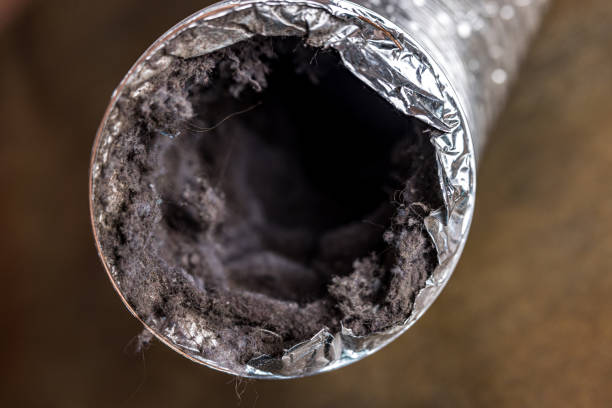 Best Best Air Duct Cleaning Company  in Desert Edge, CA
