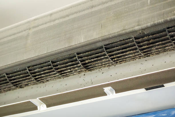 Best Commercial Air Duct Cleaning  in Desert Edge, CA